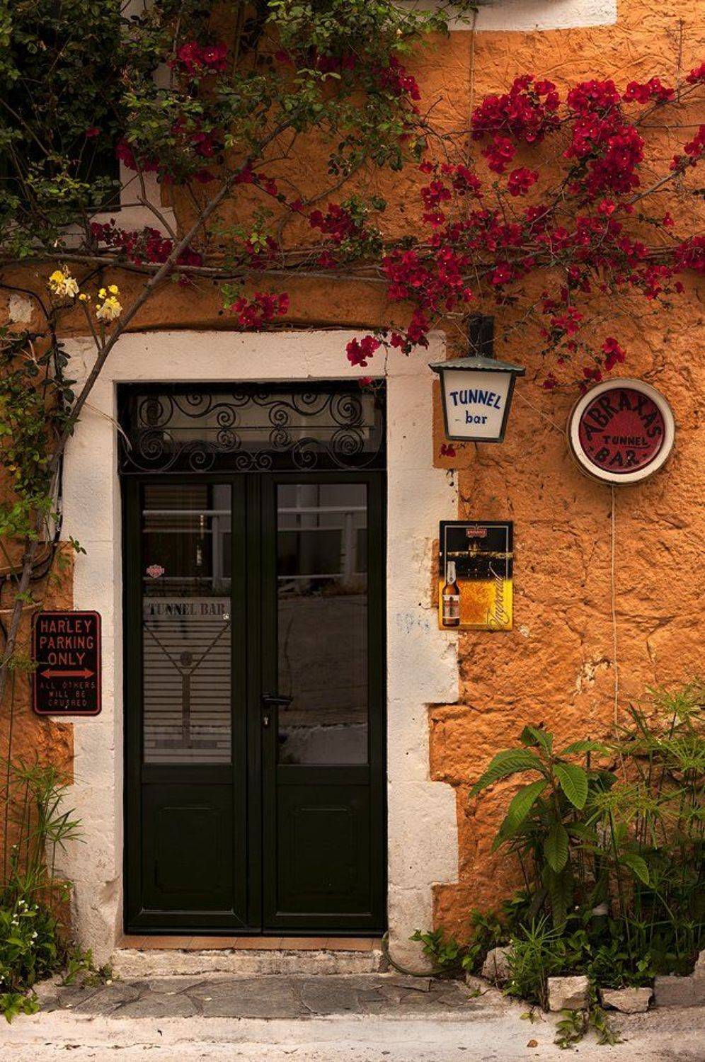 , Момчил Великов