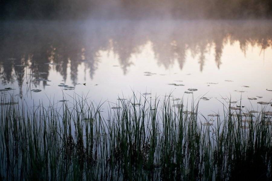 природа, вечер, туман, озеро, вода, дымка, Григорий Пиль