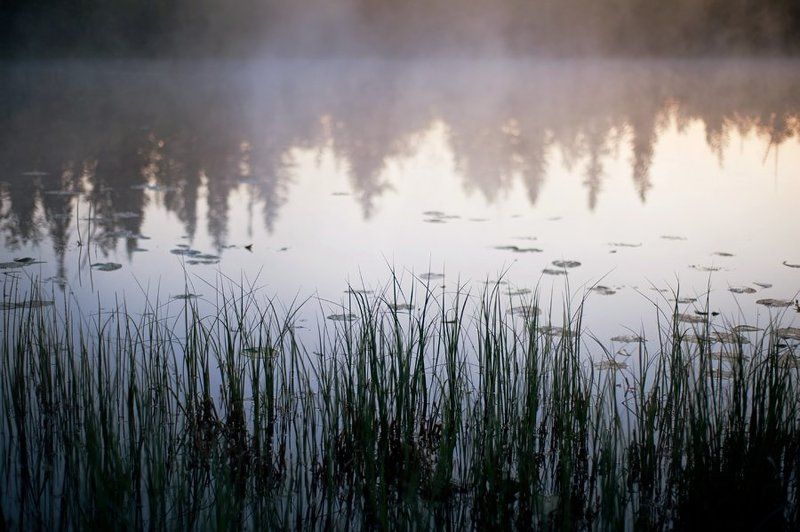 природа, вечер, туман, озеро, вода, дымка Вечер. Туман над озером. фото превью