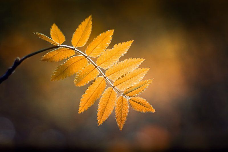 ... фото превью