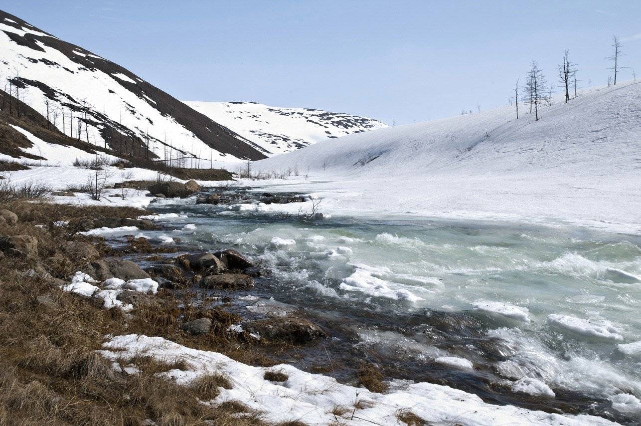 таймыр, Vladimir