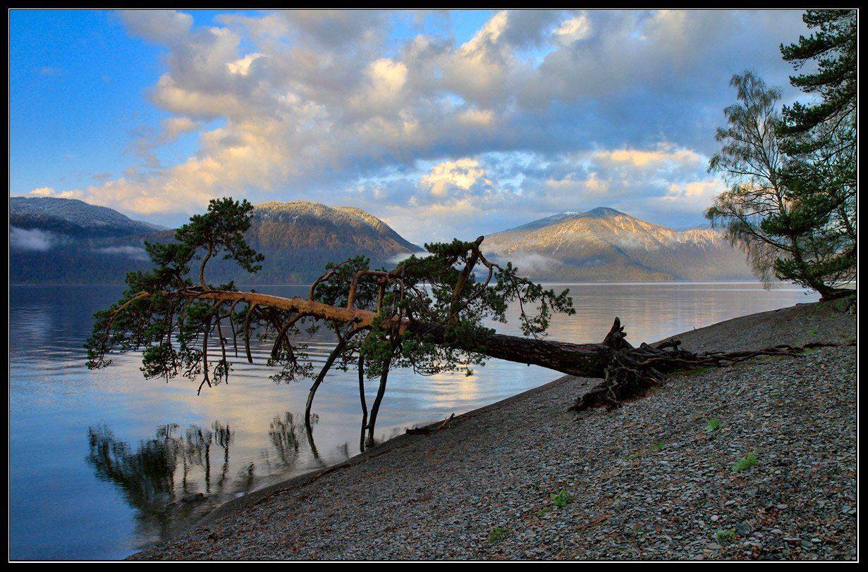 алтай, телецкое, озеро, Юрий Фролов
