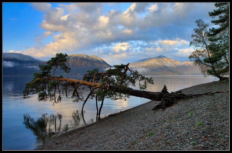 алтай, телецкое, озеро Первые лучи и последний снег... фото превью