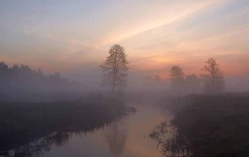 2012, украина, сумская область, кролевец, реть, апрель, весна, утро, туман, деревья, река, берег, облака, отражение Светает... фото превью