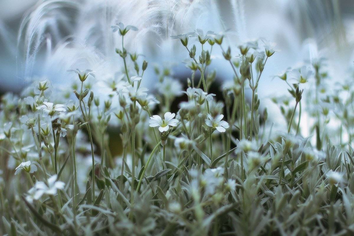 , Михаил  Пилипенко