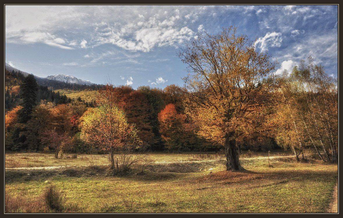 кавказ, кчр, горы, осень, загедан, Александр Круль