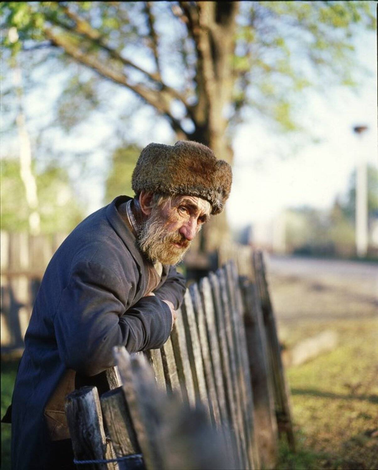 , Юрий Наумович