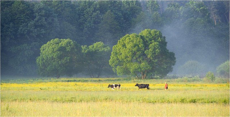 на рассвете ,за селом фото превью