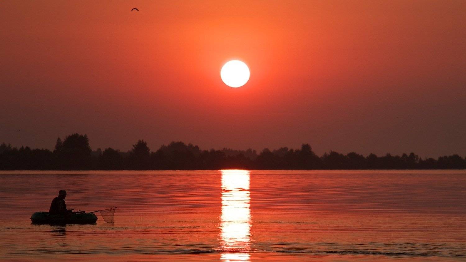 , СПИРИДОНОВ НИКОЛАЙ