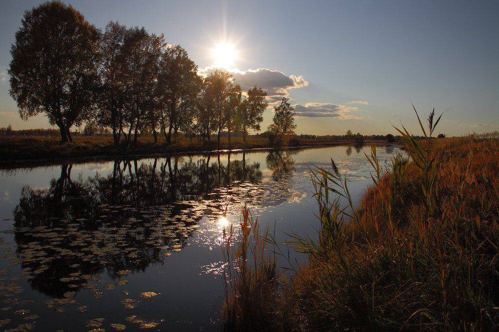 , Николай Морский