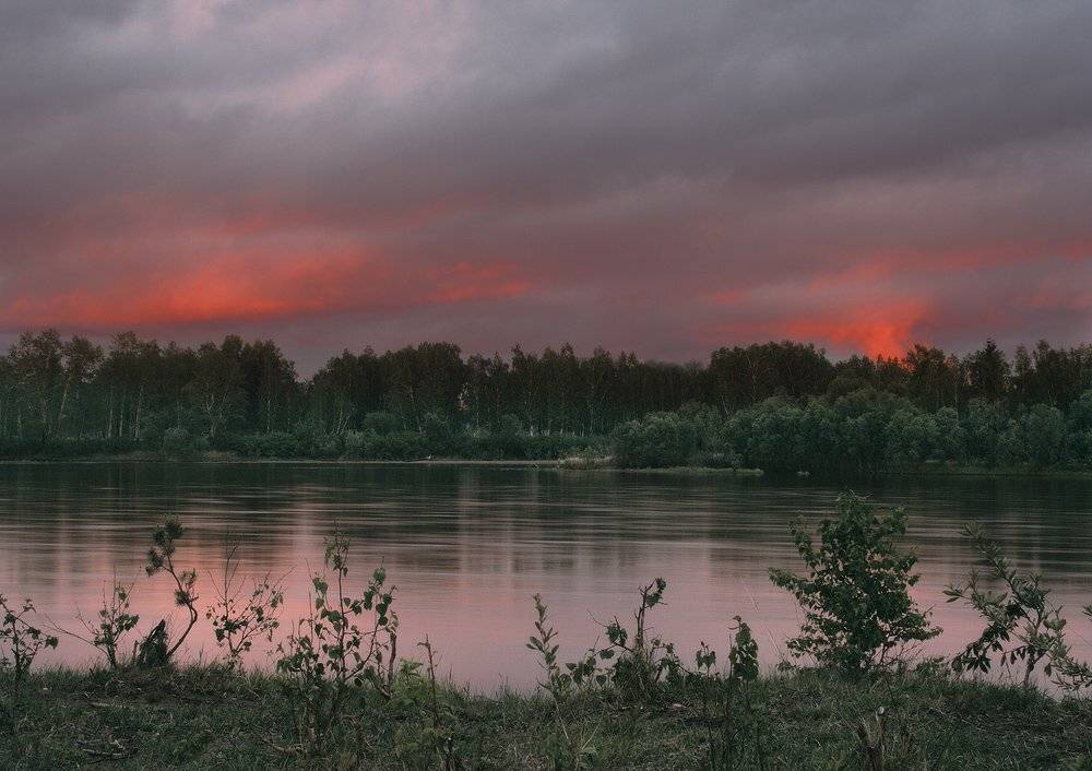 , Николай Морский