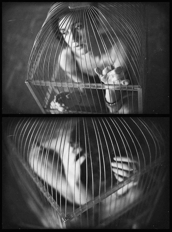 *** фото превью