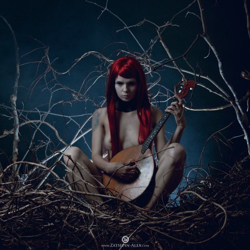 forest, zatsepin, nu, studio, dark Spirit of the Forest фото превью