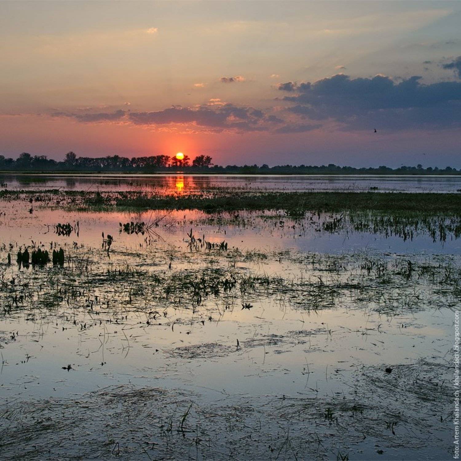 припять, полесье, Артем Халандач