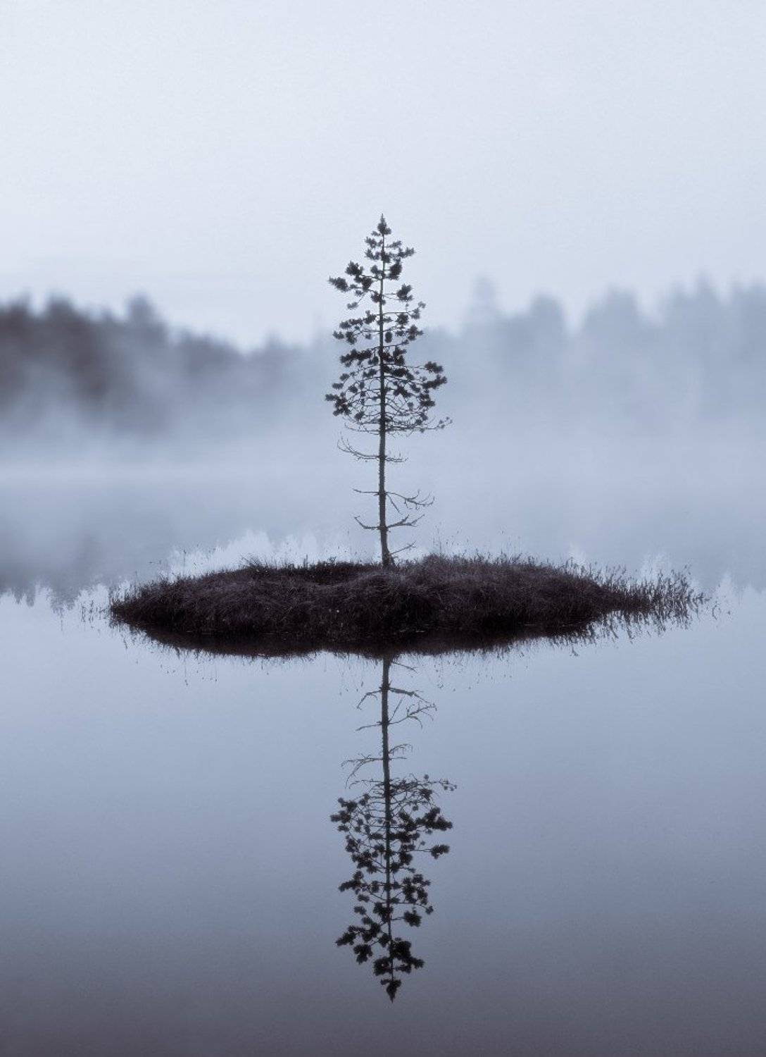 остров, туман, лес, вода, сосна, KSergeyV