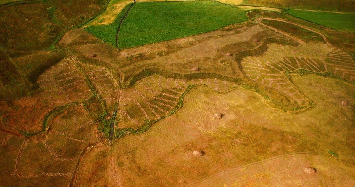 казахстан, сенокос, поле, аэро, aerial, Борис Резванцев