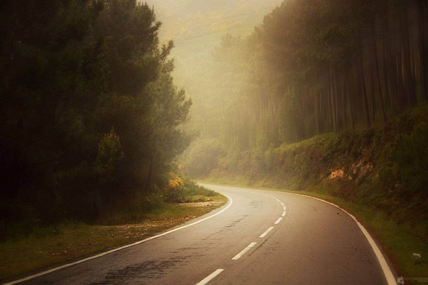 , Mindaugas Navickas