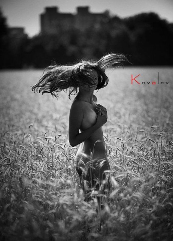 Т фото превью