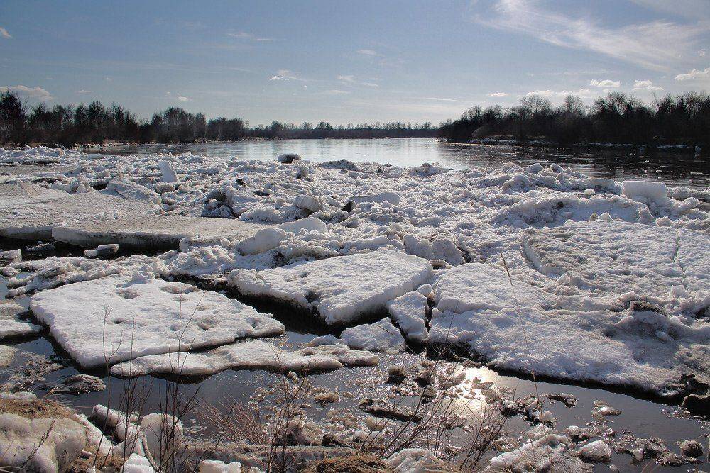 , Николай Морский