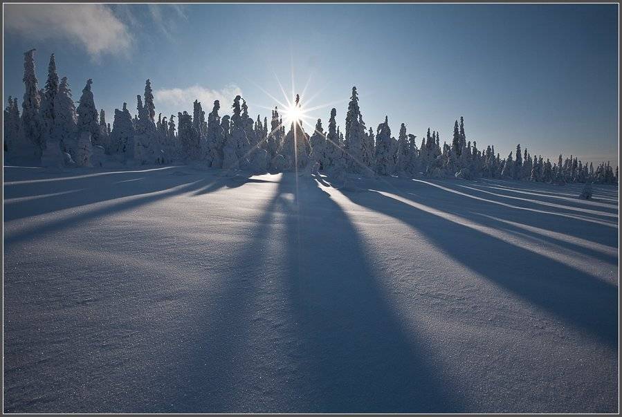, Сергей Захаров.