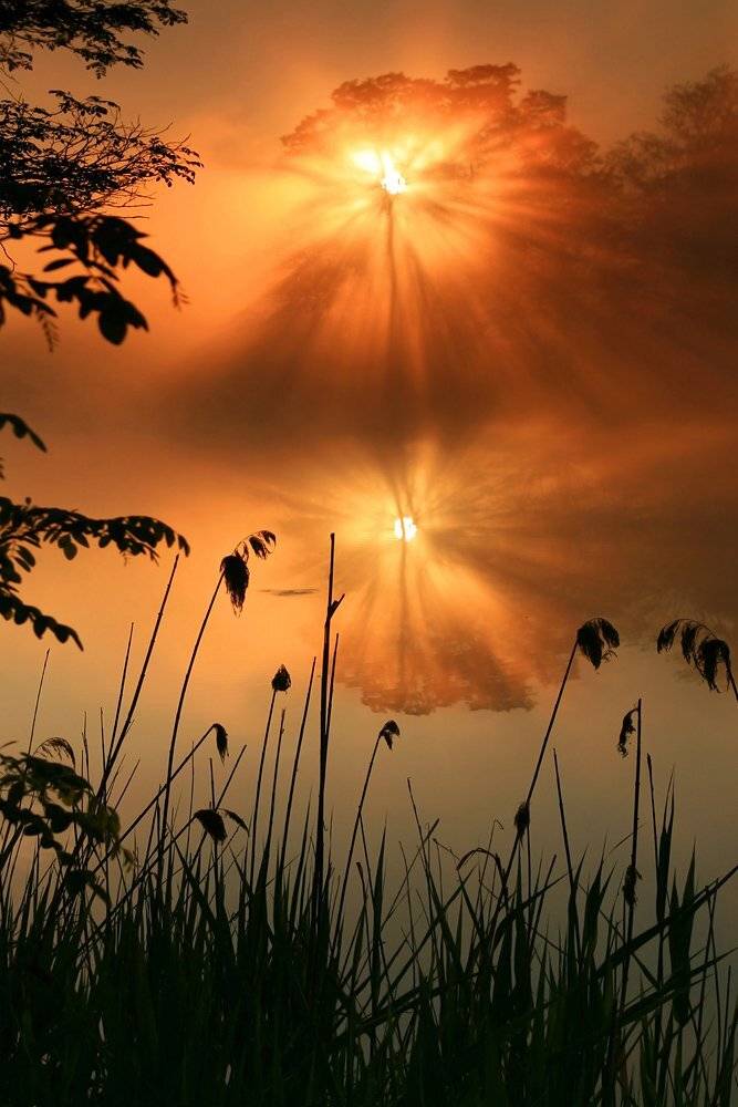 туман,рассвет,утро,озеро,весна,отражение, Антон Петрусь