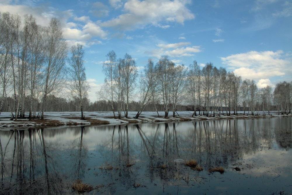 , Николай Морский