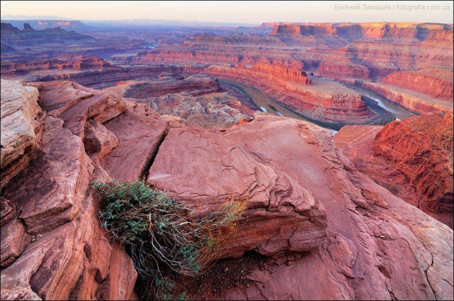 , Евгений Тимашёв