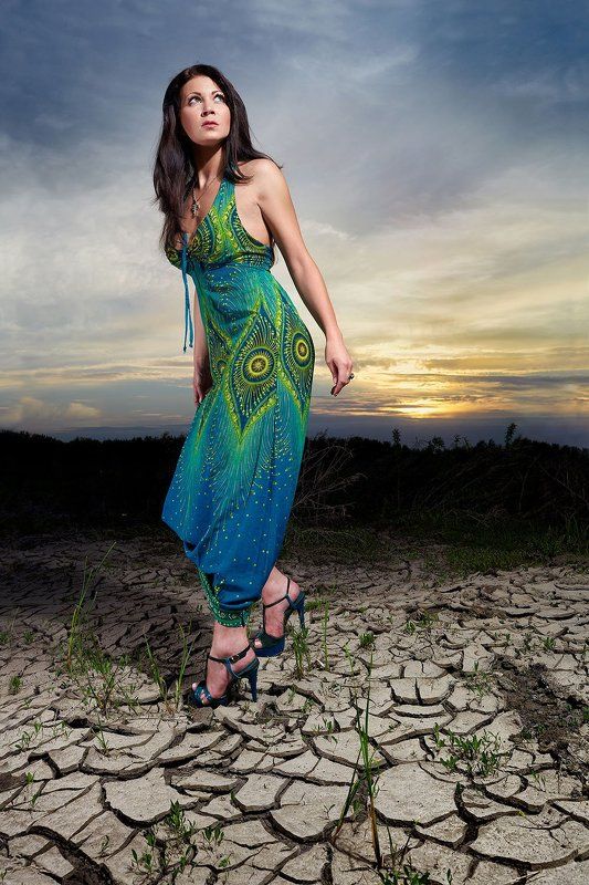 Кактус фото превью