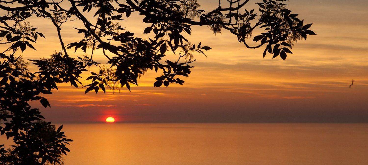 , Надежда Звягина / New Zealand