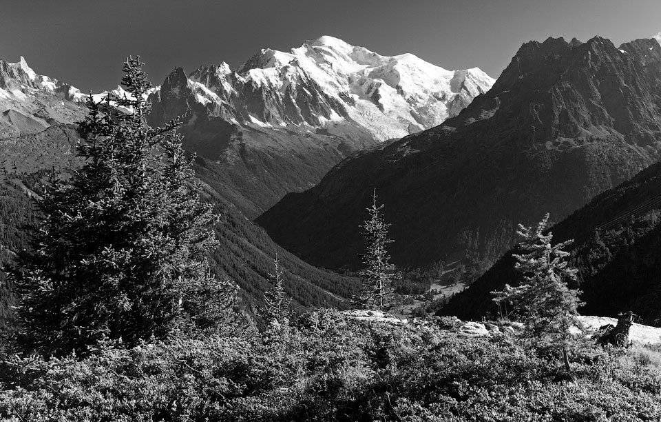 про, елочки, и, монблан, Алексей Харитонов