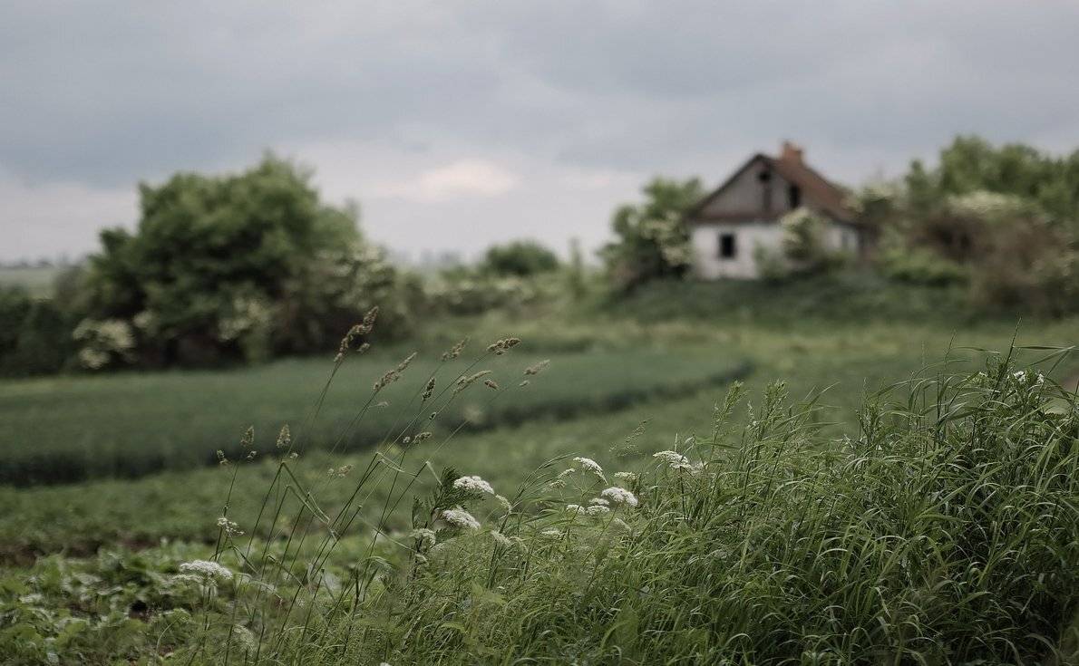 , Николай Шахманцир