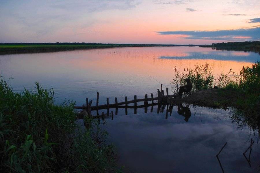 , Сидоренко Алексей