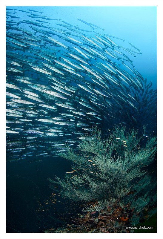 Вихрь фото превью