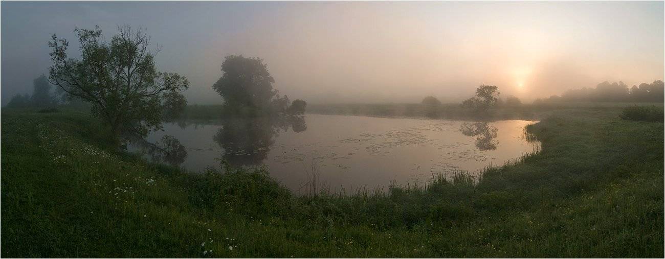 , Николай Шахманцир