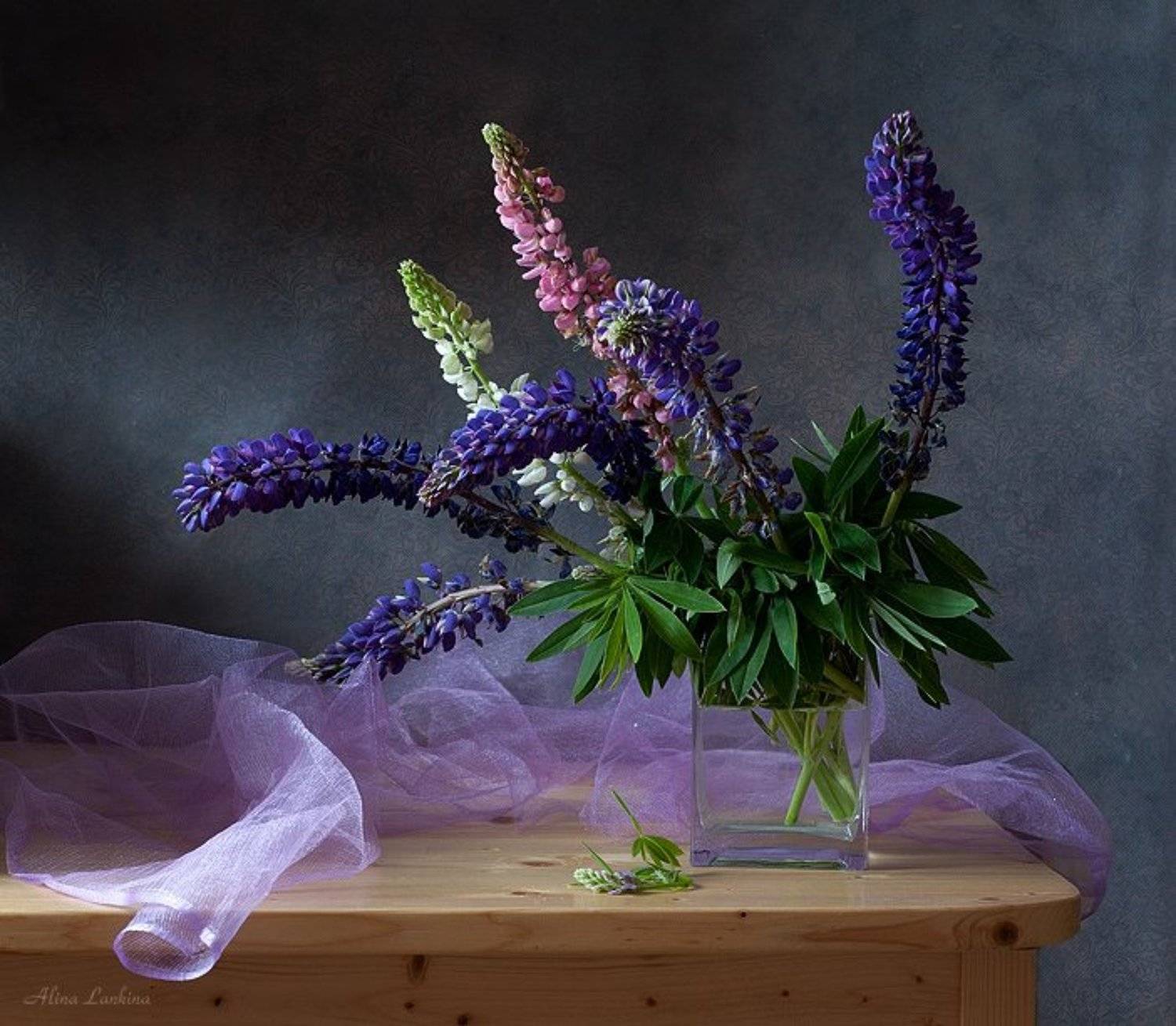 натюрморт, фотонатюрморт, цветы, люпины, свет, Alina Lankina