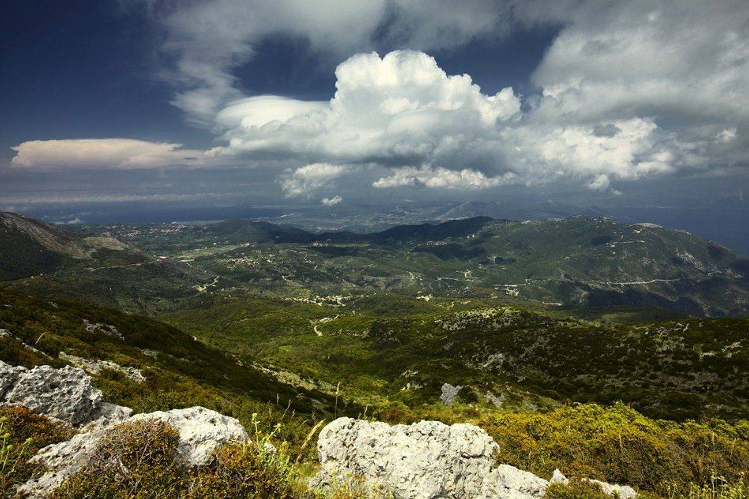 , Момчил Великов