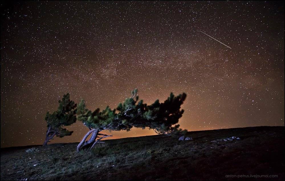 звезды,ночь,крым,ай-петри,звезда,метеор, Антон Петрусь