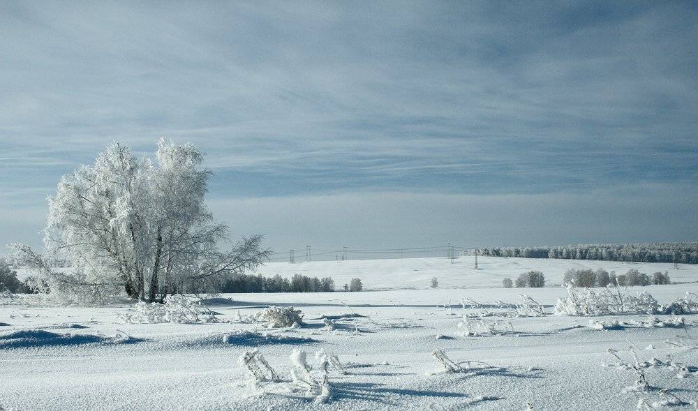 , Николай Морский