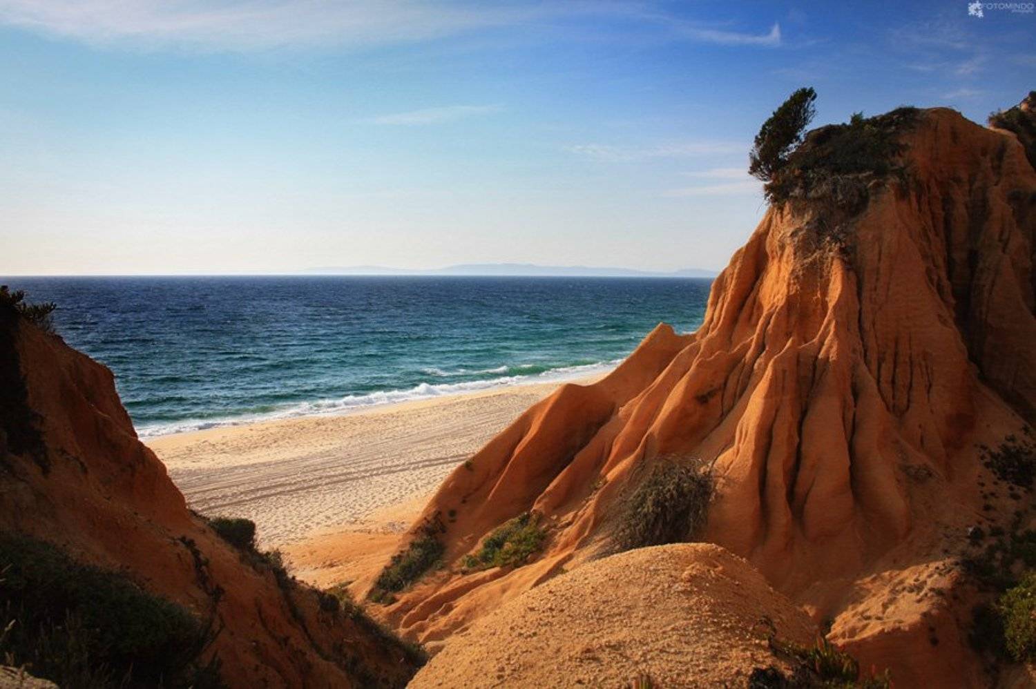 , Mindaugas Navickas