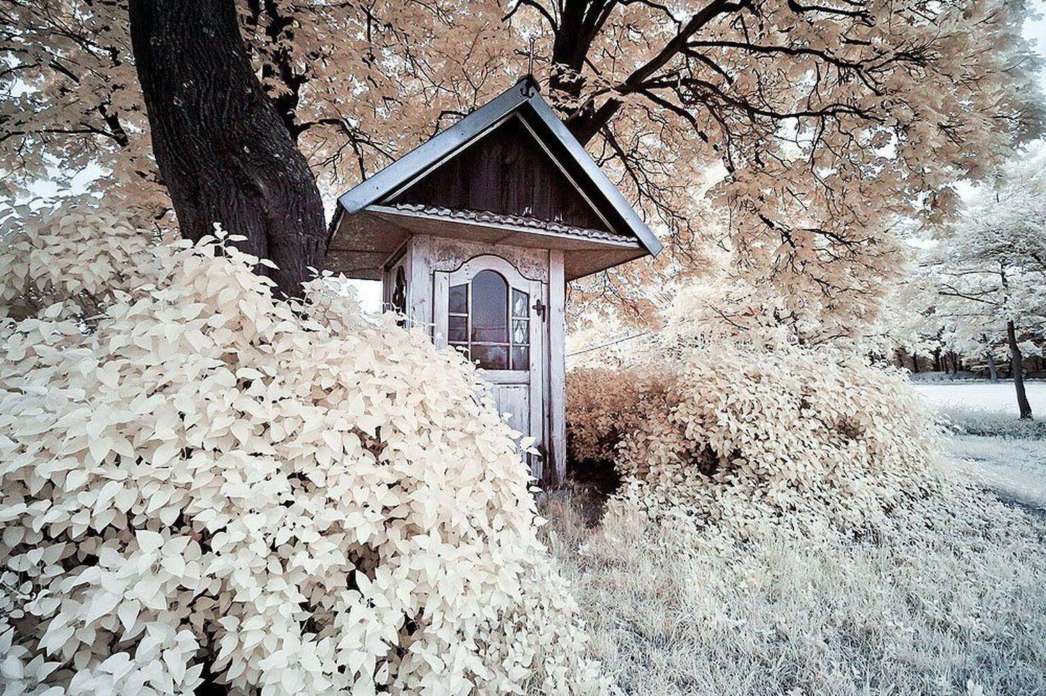 ir ,podczerwien , infrared, przemek
