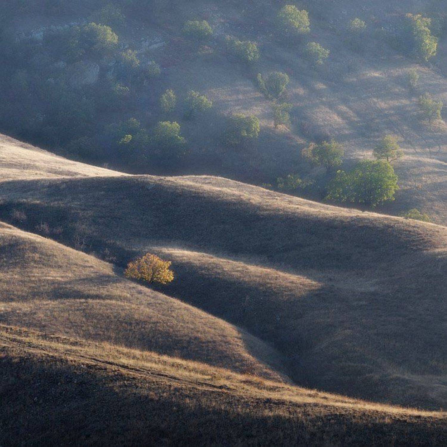 , Алексей Пучков