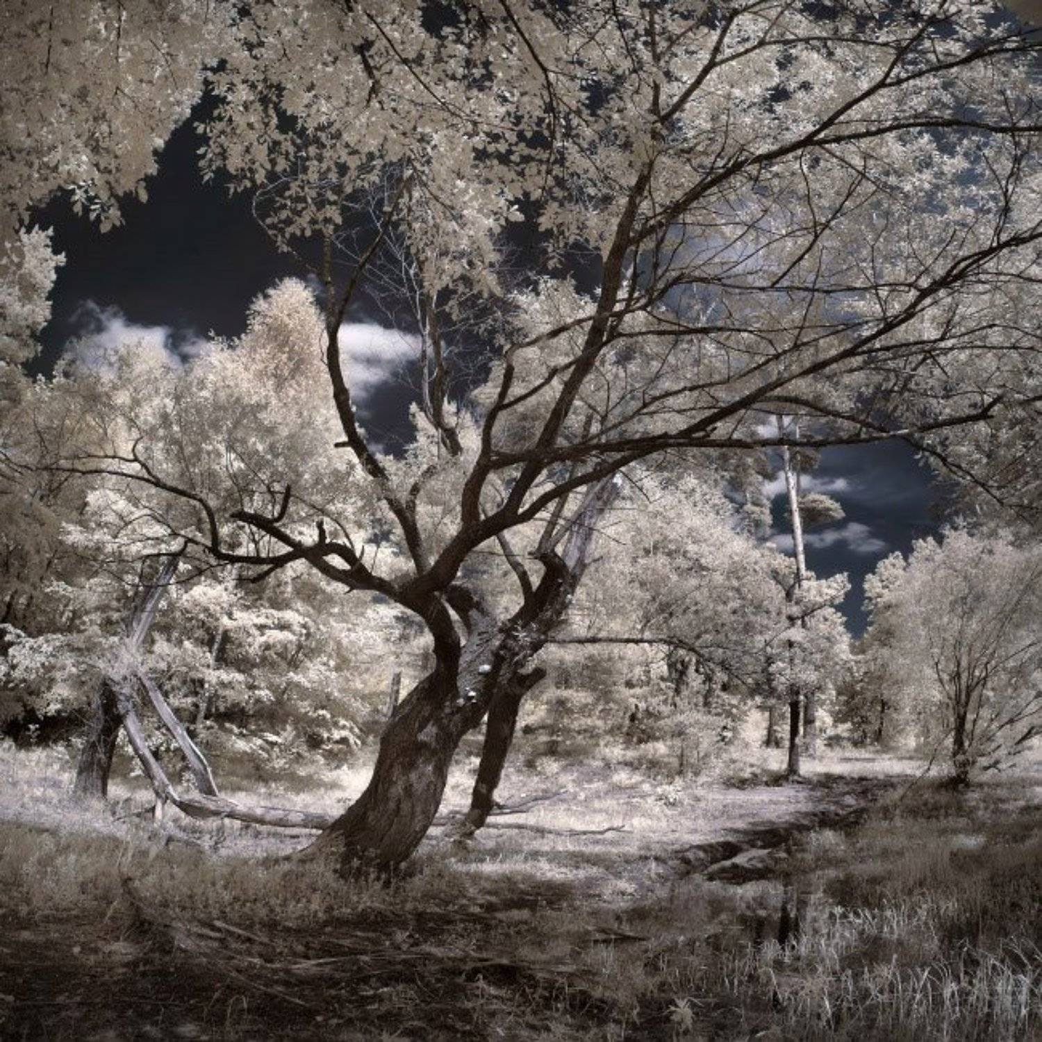 ir, Эдуард VTORNIK  Николаев