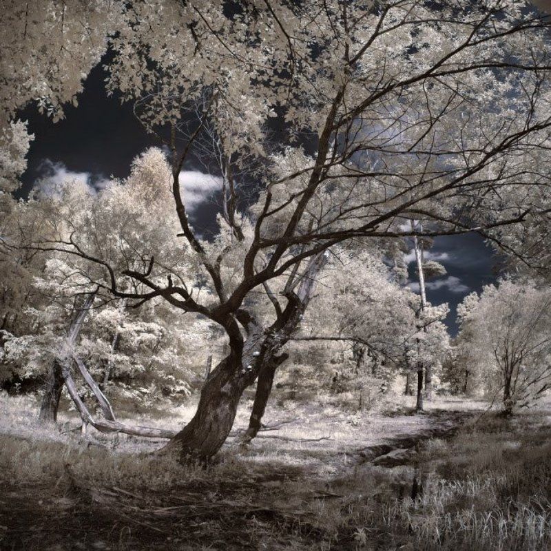 ir Буря фото превью