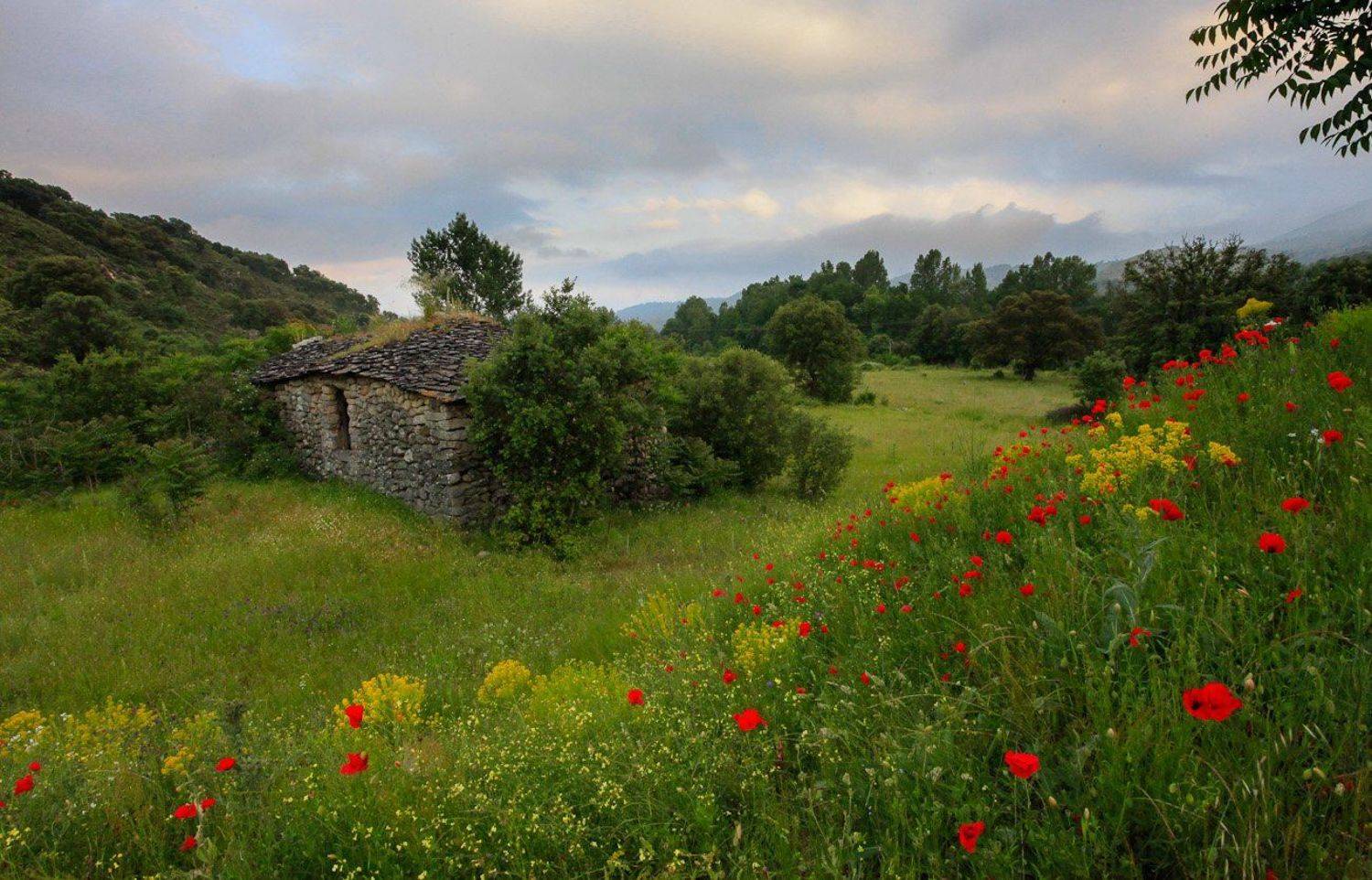 , Надежда Звягина / New Zealand