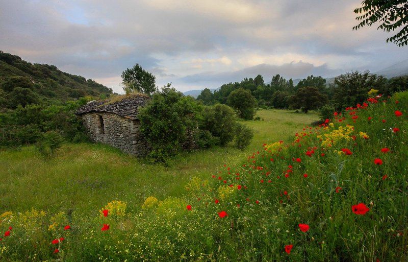 корсиканский вечер фото превью