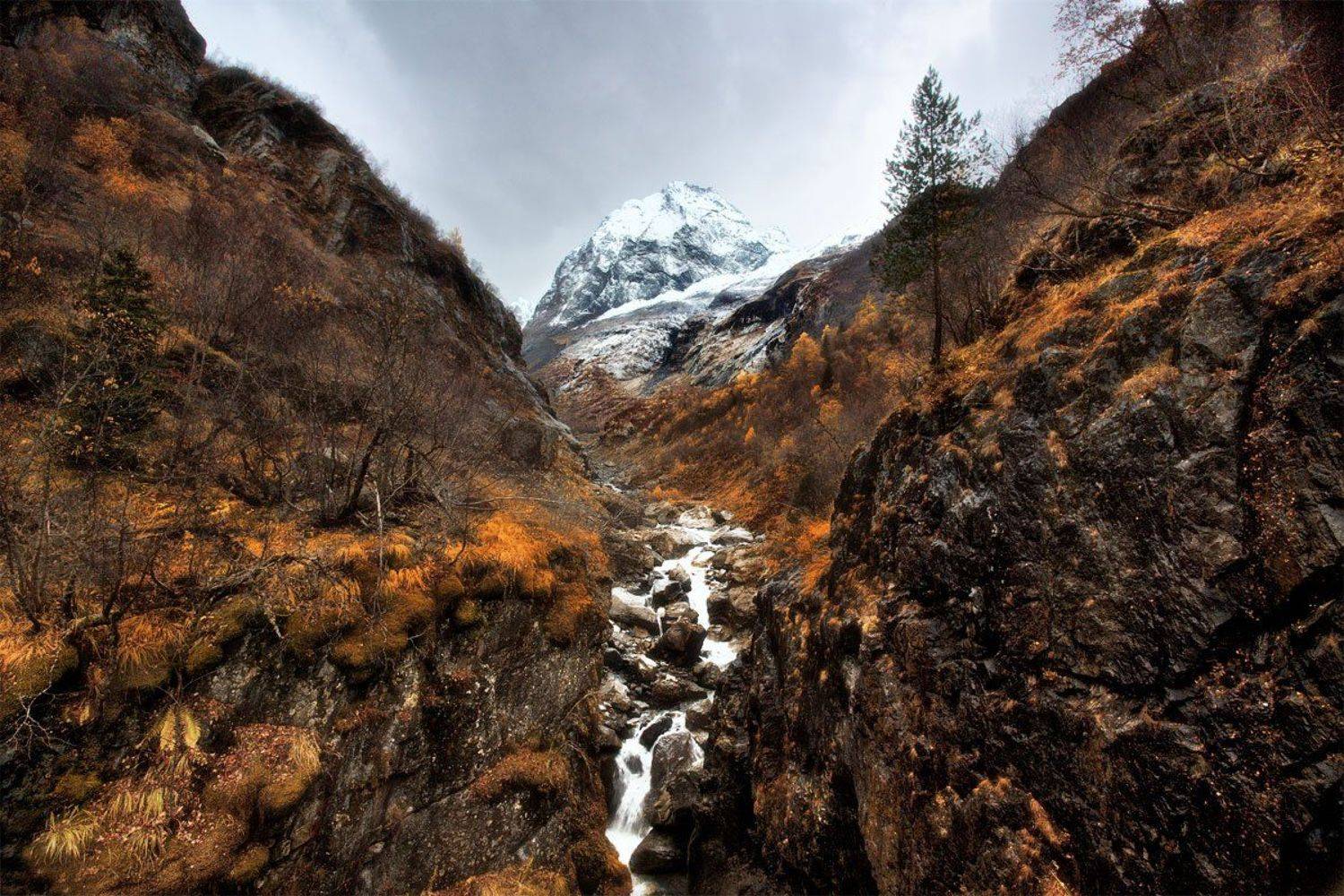 домбай, Владимир Ляпин