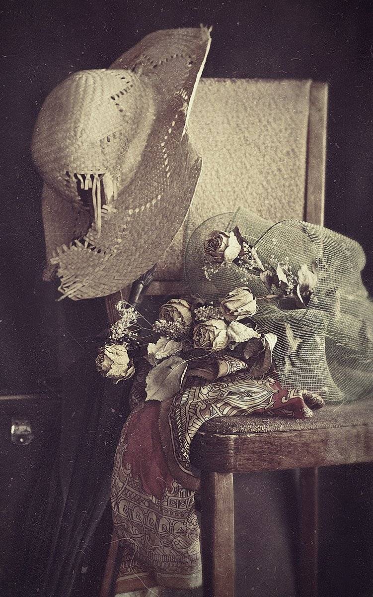 , Александрова Арина