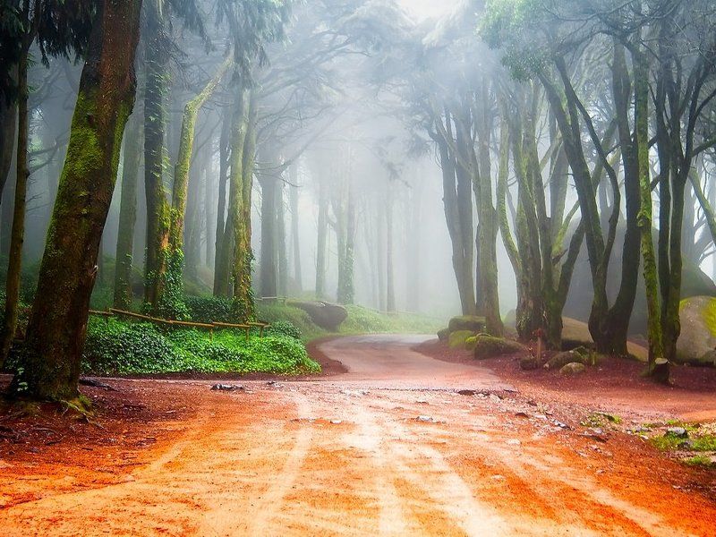 I\'ll come visit you... . фото превью