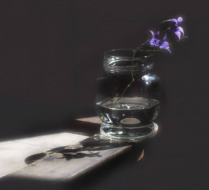 , Октай Гусейнов