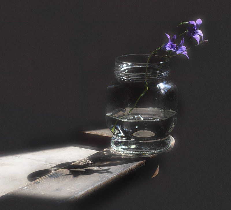 Простой натюрморт при солнечном свете фото превью